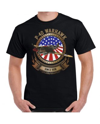 P-40 Warhawk Stars and Stripes Men's Black T-Shirt